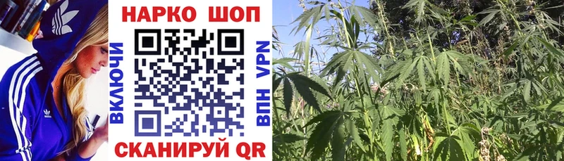Какие есть наркотики Салаир Alpha PVP  МАРИХУАНА  МЕФ  Амфетамин  Гашиш 
