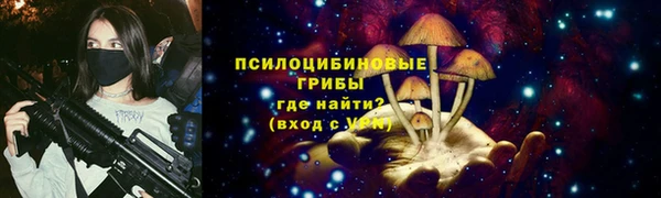 ешки Аркадак