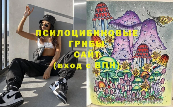 ешки Аркадак