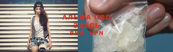 ешки Аркадак