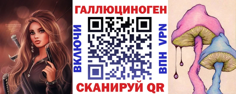 Галлюциногенные грибы Psilocybine cubensis  хочу наркоту  Салаир 